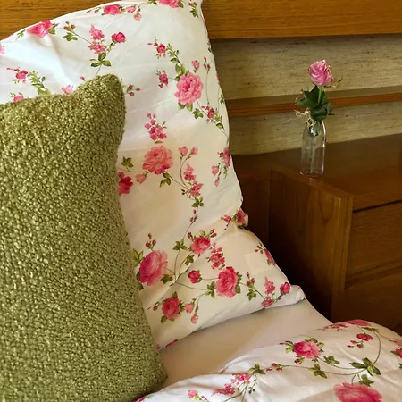 Casa Romantica - Ein Alpiner Traum Partenen