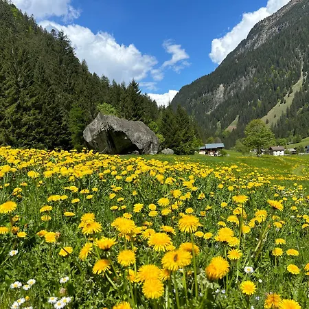 Casa Romantica - Ein Alpiner Traum Сasa de vacaciones Partenen